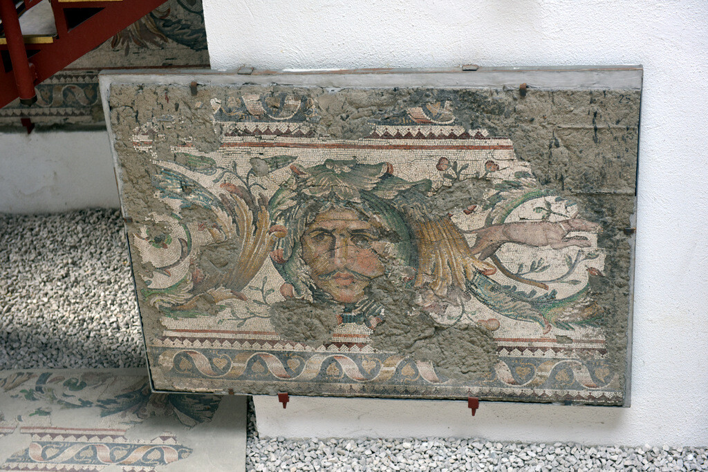 Floor Mosaics belonged to the Great Palace
